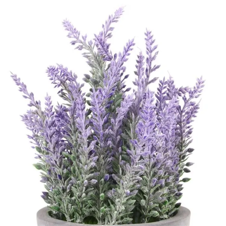 Artificial Plants Plastic Purple Colorful Flower