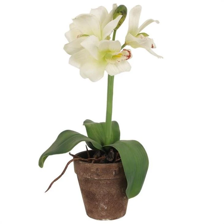 Decorative Flower Potted Flower Bonsai For Home Decoration