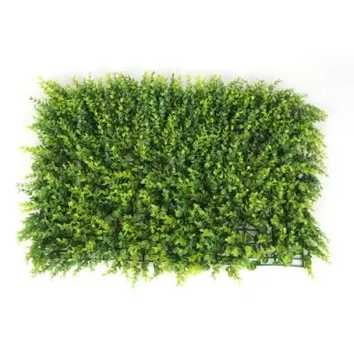 Plošče za živo mejo iz škarjastega lesa