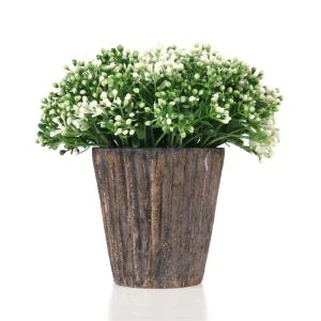 Okolju prijazna zelena rastlina Bonsai