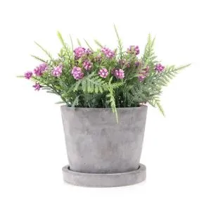 Zelena plastična rastlina Bonsai v obliki srca