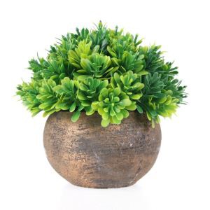 Umetna bonsaj drevesa Bonsai Umetna bonsaj drevo