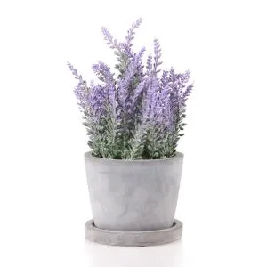 Umetna cementa sivke Bonsai