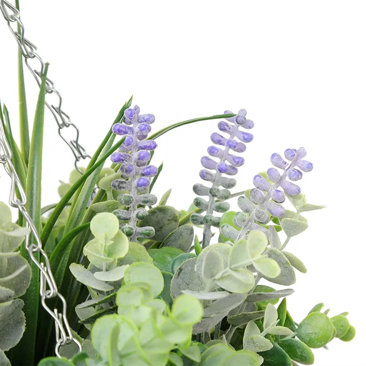 Preserved Boxwood Wreath Mini Wreath